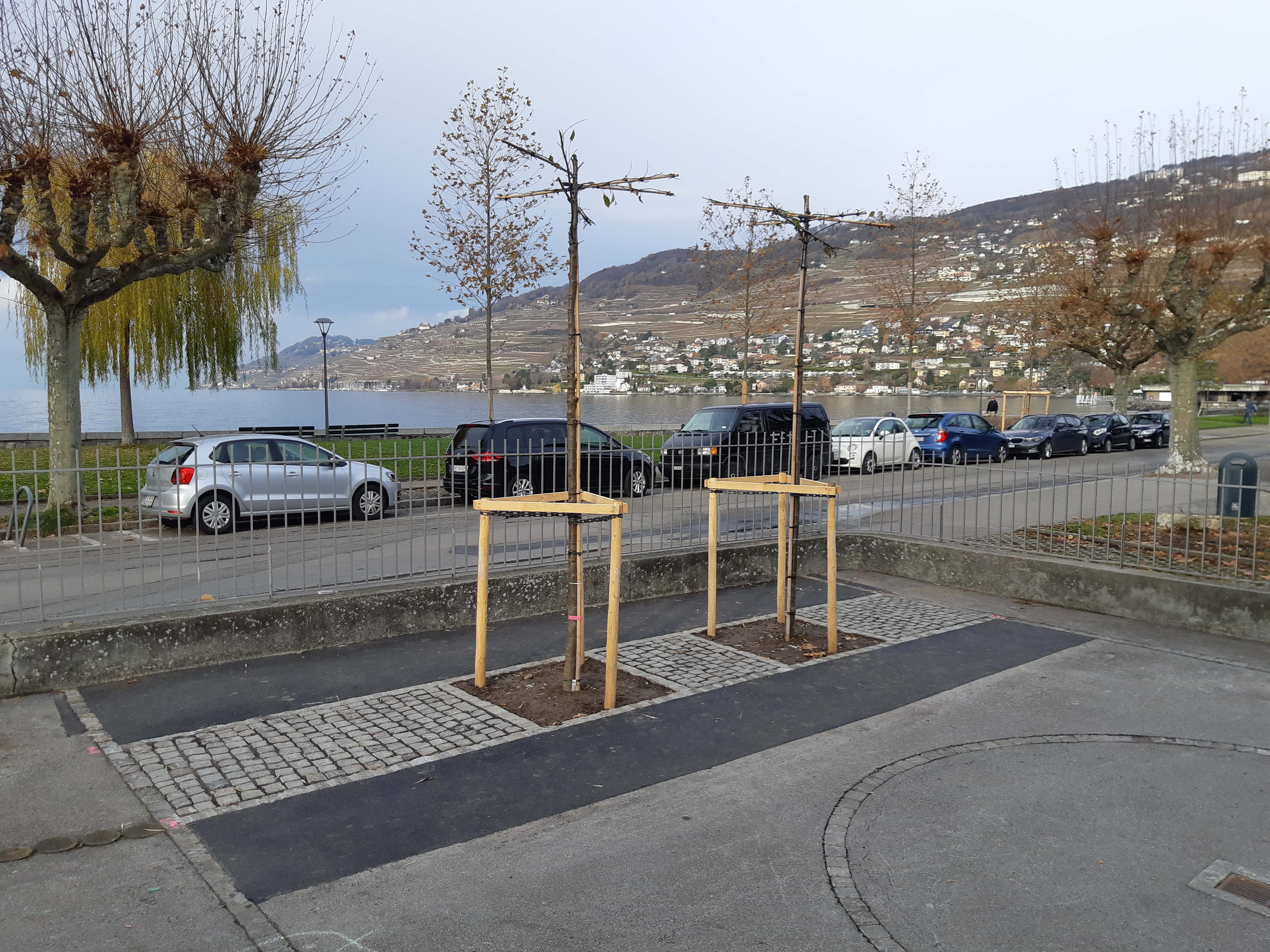 Vevey a planté 70 arbres